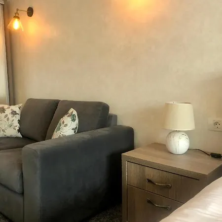 Guest house Bucegi View Sinaia