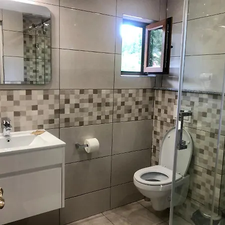 Bucegi View Guest house *