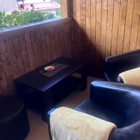 Bucegi View Guest house *